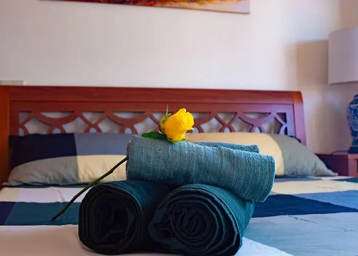 The Cozy Flat In Roma Eur